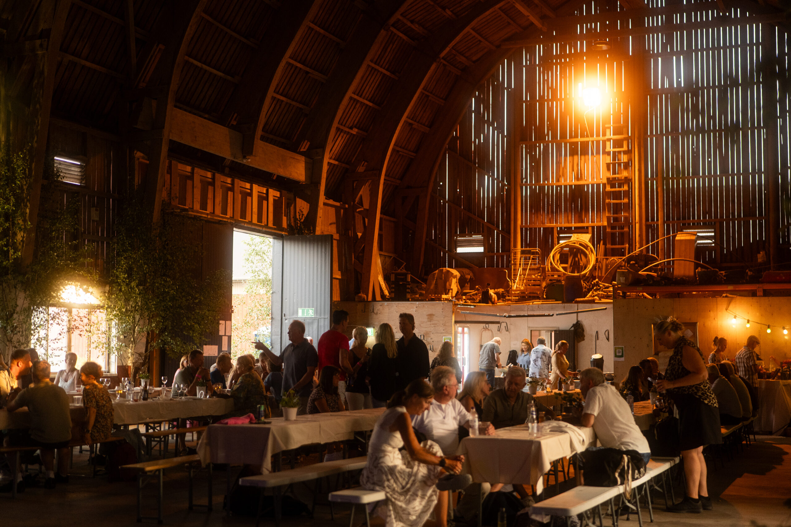 Galleri 1 – IMG_4483