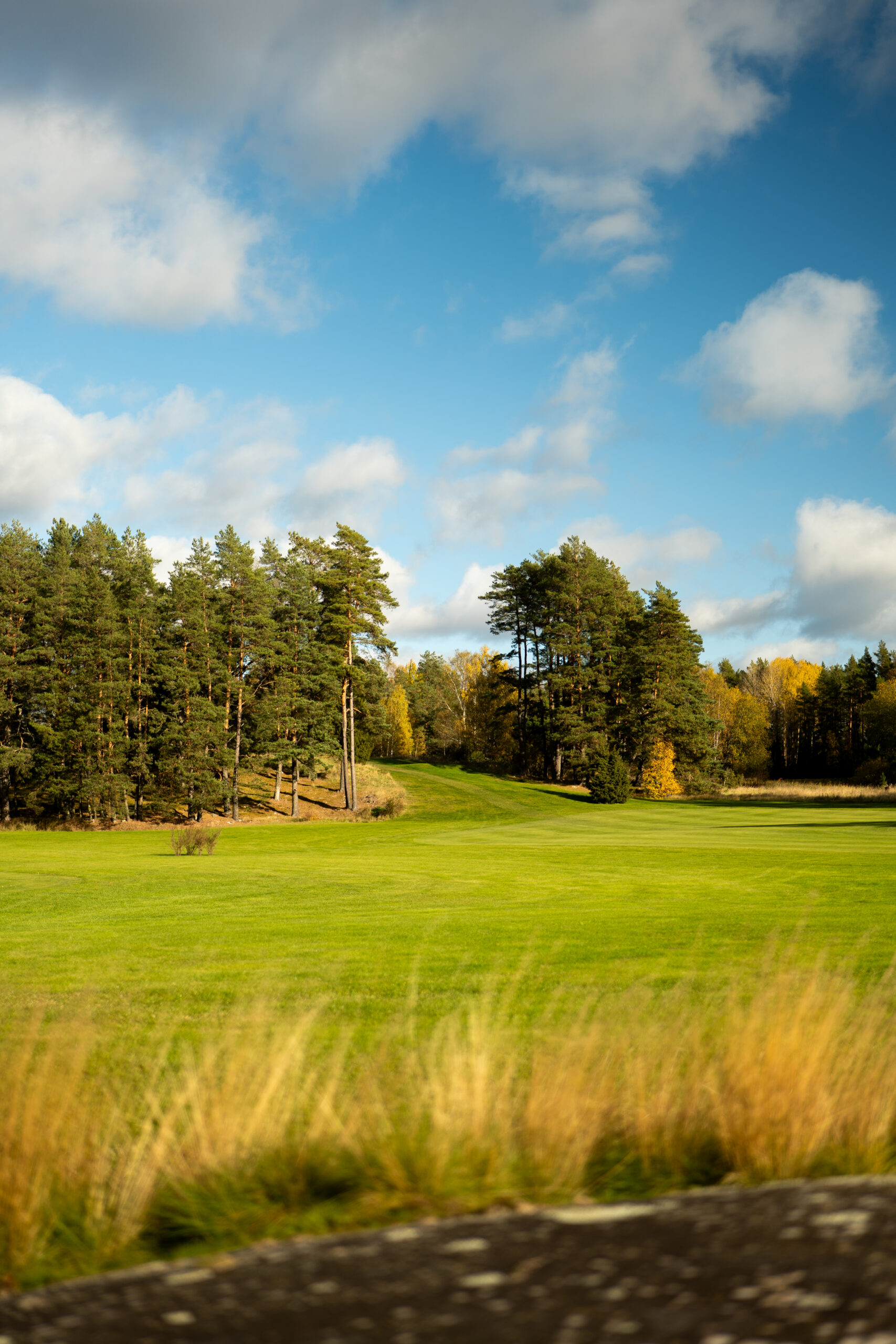 Vy över fairway
