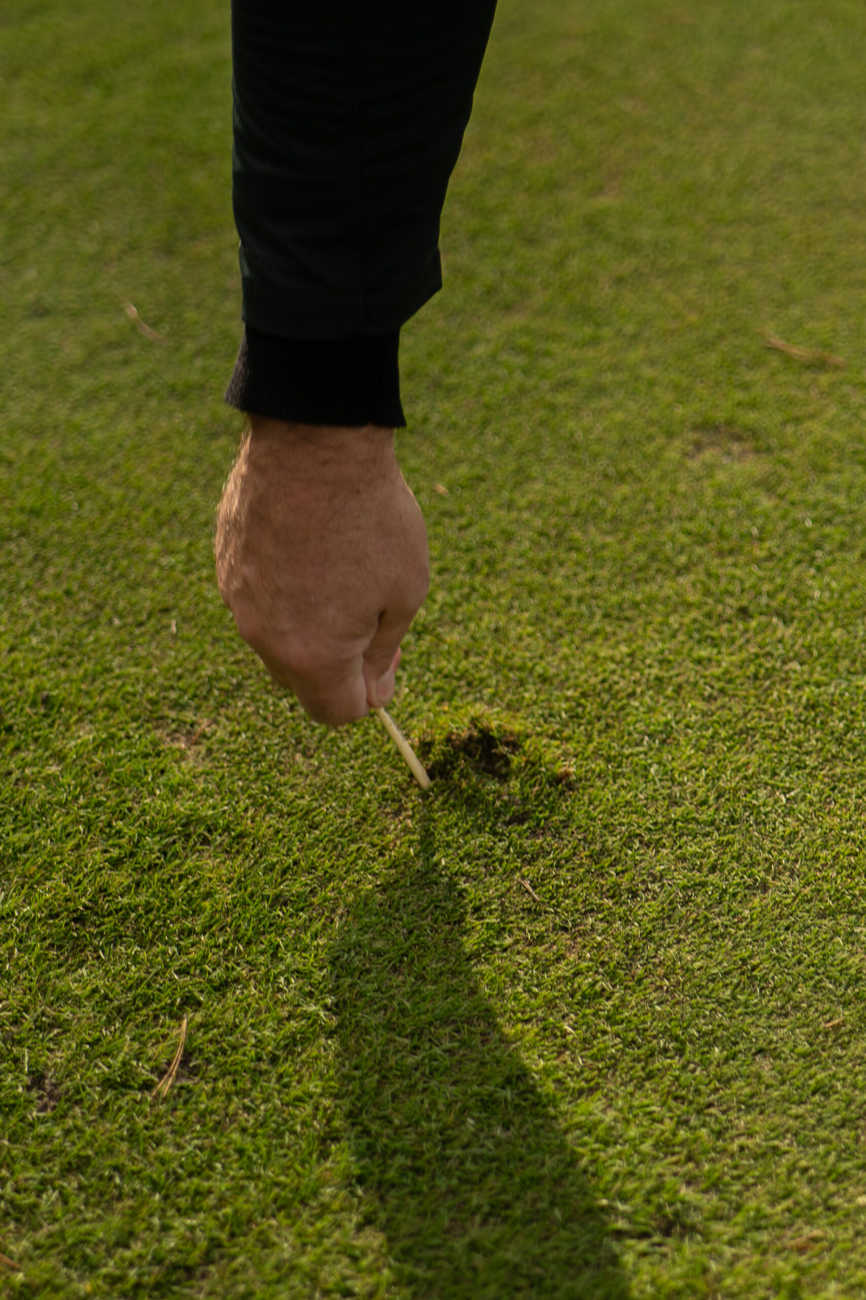 Putting green