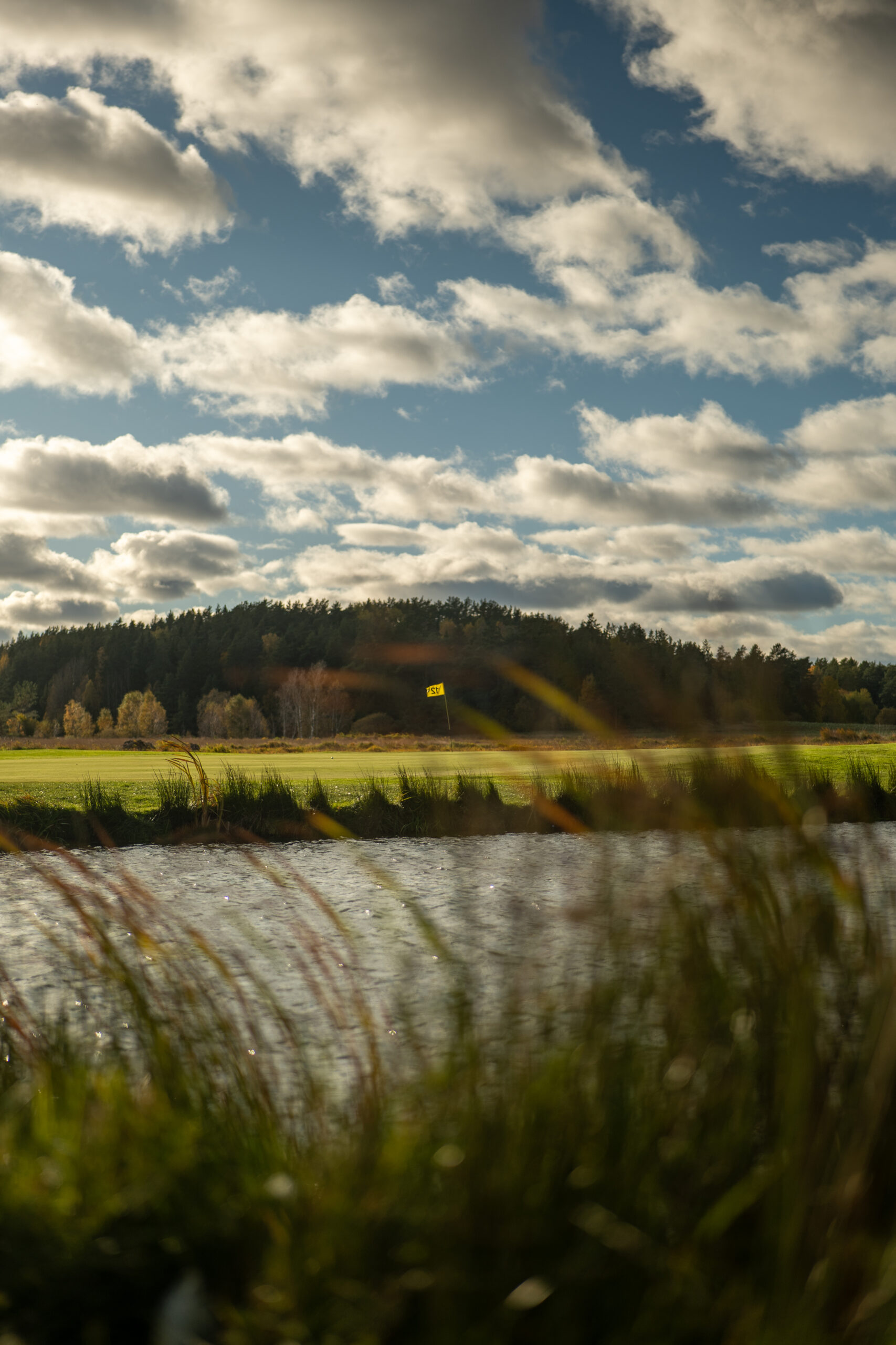 Närspelsområde